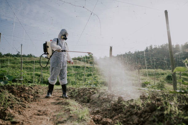 Best Ant Control Services  in Fruitland Park, FL