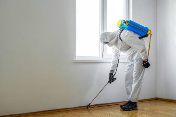 Best Pest Prevention Services  in Fruitland Park, FL