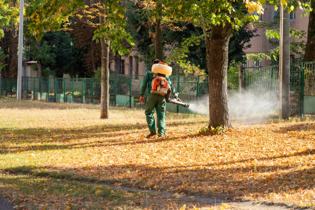 Best Wasp Removal Services  in Fruitland Park, FL