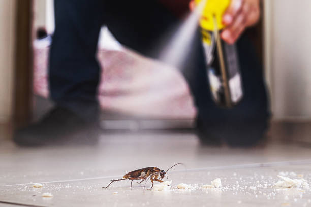 Best Best Pest Control Companies  in Fruitland Park, FL