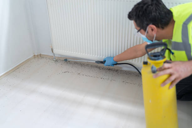 Best Pest Removal Services  in Fruitland Park, FL