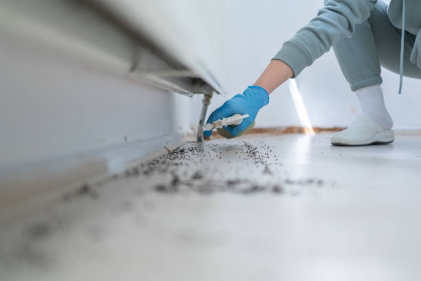 Best Flea Control Services  in Fruitland Park, FL